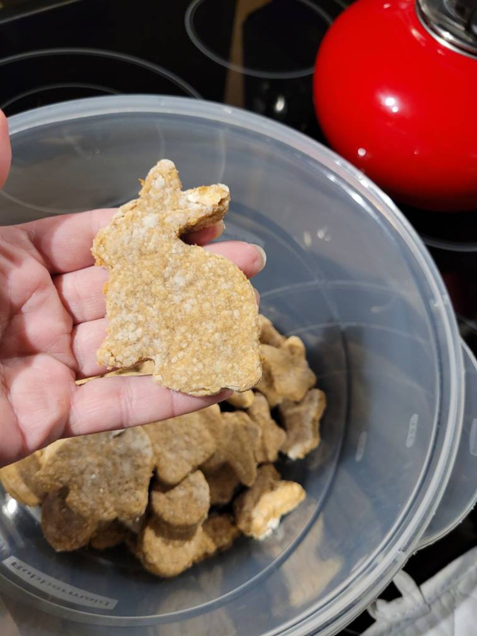 Healthy All Natural Homemade Wolf Treats PEANUT Etsy