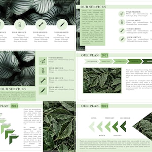May include: A green and white infographic with the text "Our Services" and "Our Plan 2021". The infographic uses a green leaf background and white text to highlight the text. The infographic is divided into sections with different headings and subheadings.