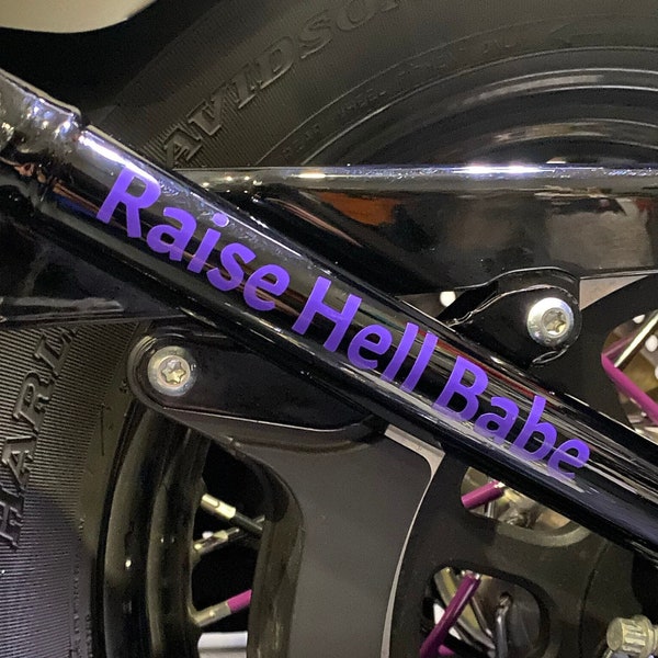 Motorcycle Helmet Decal Etsy