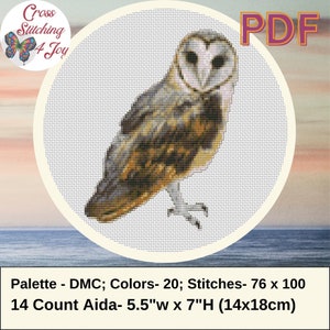 Barn Owl Bird DIY Cross Stitch Easy Pattern, Bird Nature Theme, Easy Chart