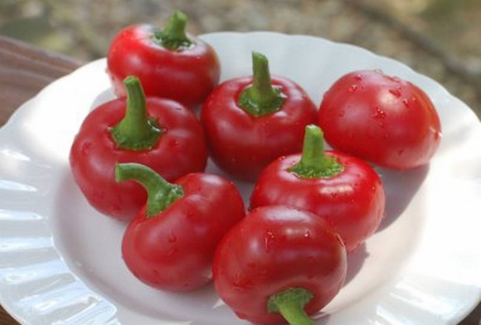 Hot Pepper Seeds Spicy Cherry Red Etsy Uk