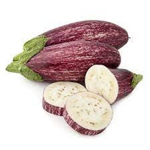 Aubergine GESTREIFte Samen