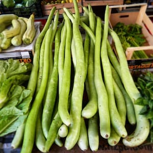 Herb seeds LAGENARIA SNAKE