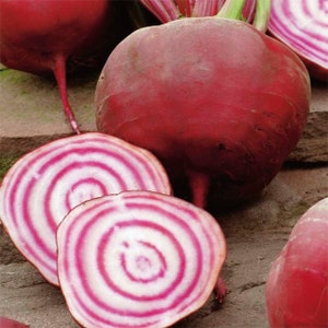 Beet seeds BORSCH about 3 g