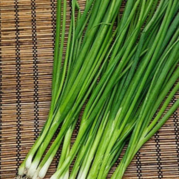 Spring onion seeds  APRIL