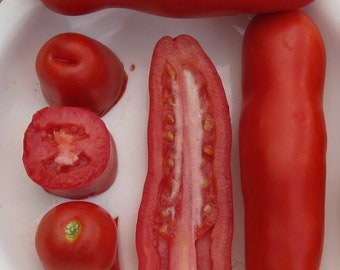 SEMILLAS DE TOMATE EROS