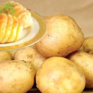 Może przedstawiać: Zbliżenie kilku surowych, nieobranych ziemniaków z talerzem pokrojonych, ugotowanych ziemniaków. Ziemniaki są jasno brązowe i mają lekko szorstką teksturę. Ugotowane ziemniaki są złotożółte.