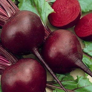 Beet seeds DETROIT about 3 g