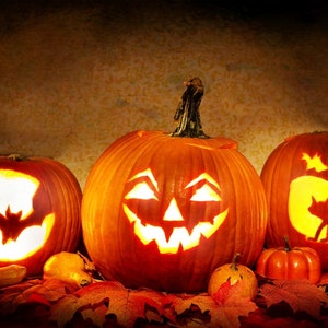 Pumpkin seeds HALLOWEEN
