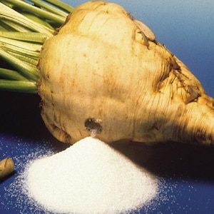 以下が含まれることがあります： 緑の葉と白いグラニュー糖の山がある砂糖大根のクローズアップ。大根の小さな部分が砂糖の隣にあります。背景は青のグラデーションです。