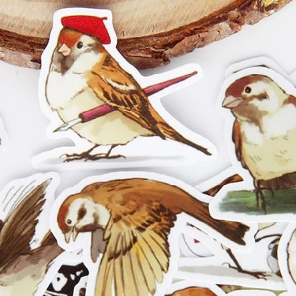 BIRDS, BIRDS, BIRDS!   40 bird stickers, realistic birds, funny birds, perfect for many projects & they make a darn good gift!