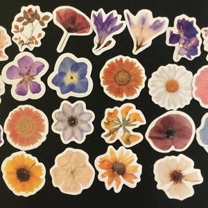 BLOEMEN!  Een 46-delige set bloemenstickers, prachtige bloemen, aquarelstickers, plant een beetje zonneschijn en een geweldig cadeau!
