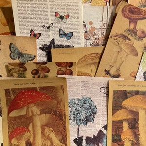 BUTTERFLIES AND MUSHROOMS’ background paper! 20 sheets of 3”x4” vintage style paper, beautiful designs & they make a darn good gift!