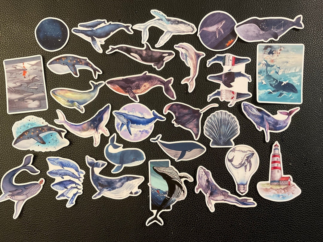 WHALES AND FRIENDS! 28 Watercolor Stickers, Big Beauties of the Sea