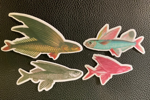 FUNKY FISH STICKERS 16 Fish Stickers, Skinny Fish, Flying Fish, Colorful  Fish, Funky Fish With Accessories and They Make a Darn Good Gift 