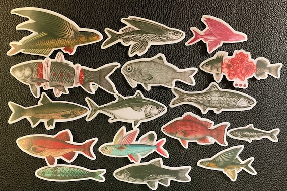 FUNKY FISH STICKERS 16 Fish Stickers, Skinny Fish, Flying Fish, Colorful  Fish, Funky Fish With Accessories and They Make a Darn Good Gift -   Canada