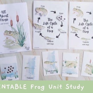 PRINTABLE Frog Unit Study, Life Cycle of a Frog Study Bundle