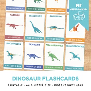 Dinosaurier-Karteikarten, druckbare Dinosaurier-Aussprachekarten, Dinosaurier-Lernen, Kinder-Lernressourcen, frühes Lernen druckbar