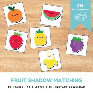 Fruit Shadow Matching Activity, PDF Matching Activity, Homeschool Preschool Math Montessori Activity, Toddler Busy Book, Instant Download