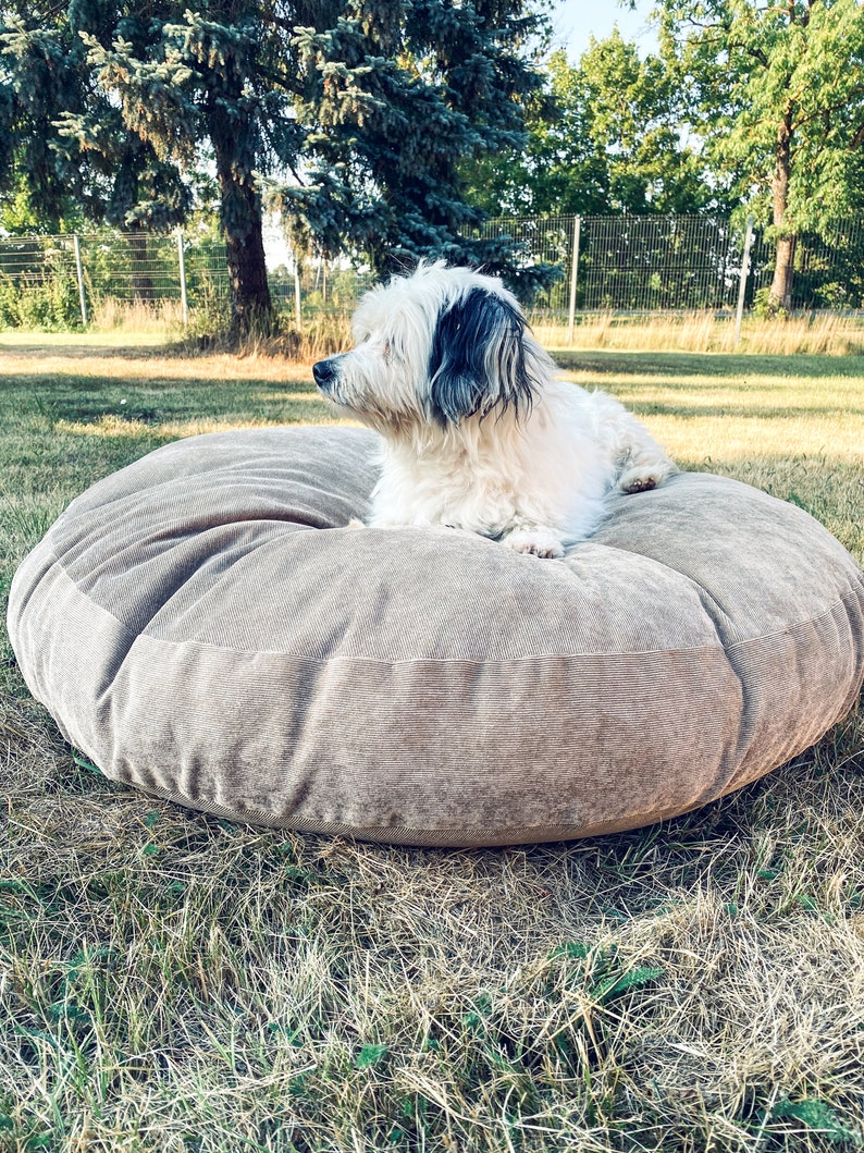 Bodenkissen, Cord Samt, rund & eckig, Hundebett, große Hunde Bild 1