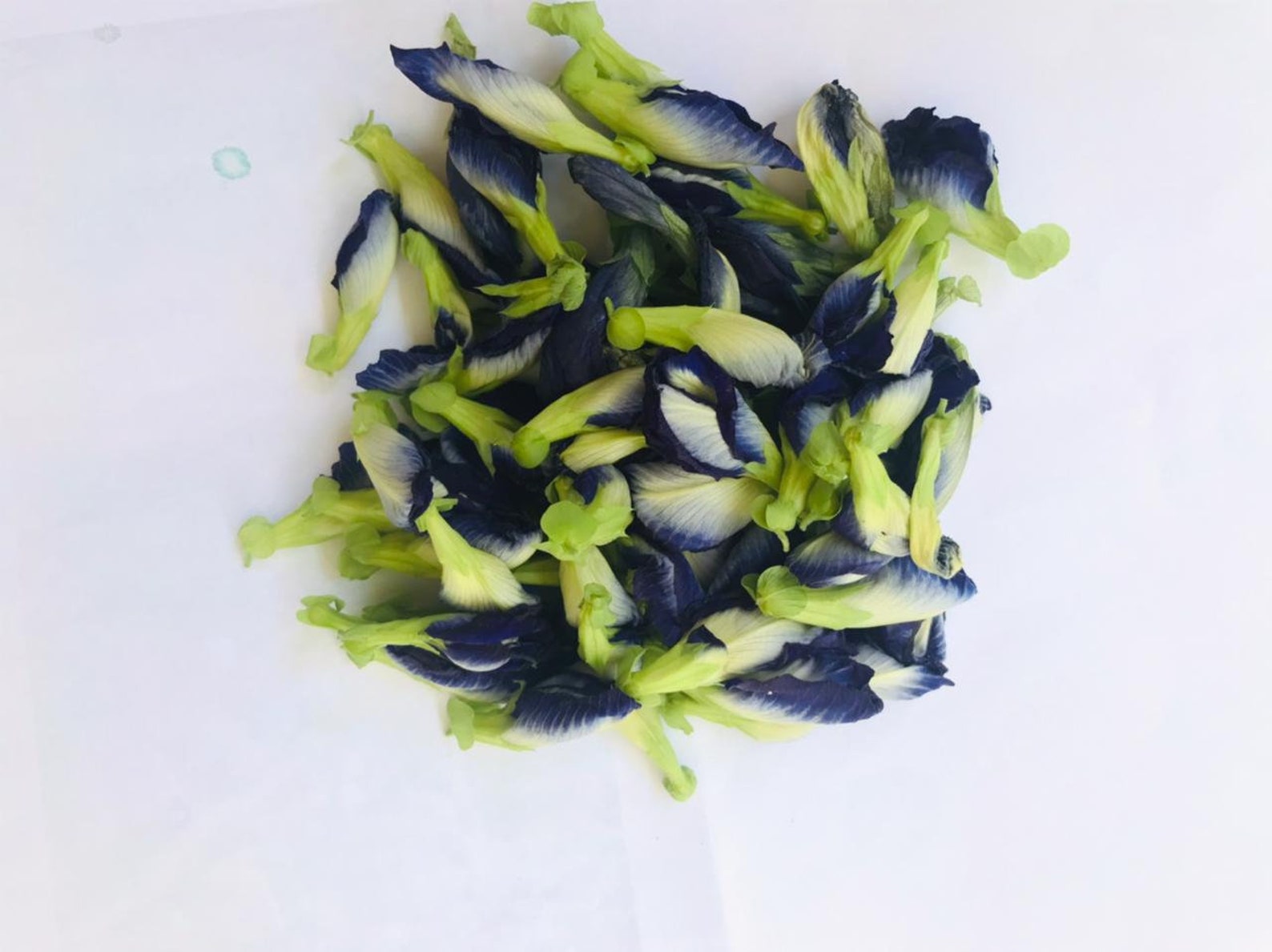 100g Premium organic dried butterfly pea flowers home garden Etsy