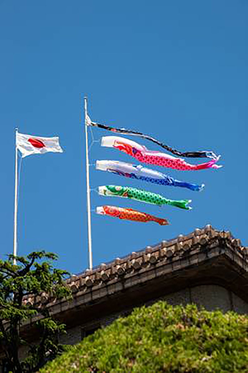 Koi nobori manche à air poisson japonais, décoration japon, souvenir fête des enfants image 9