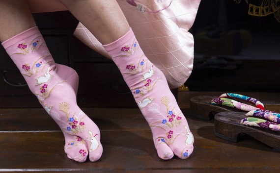 Calcetines de Dedos Mujer Calcetines Cinco Dedos de Algodón, Mujer  Calcetines del Dedo del Pie, Calcetines Divertidos Mujer Calcetines  Animales Perros, 36-41: : Moda