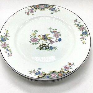 May include: A white ceramic dinner plate featuring a central illustration of a colorful bird perched on a branch surrounded by pink, blue, and yellow flowers. The rim is decorated with a repeating floral pattern and a thin black border line.