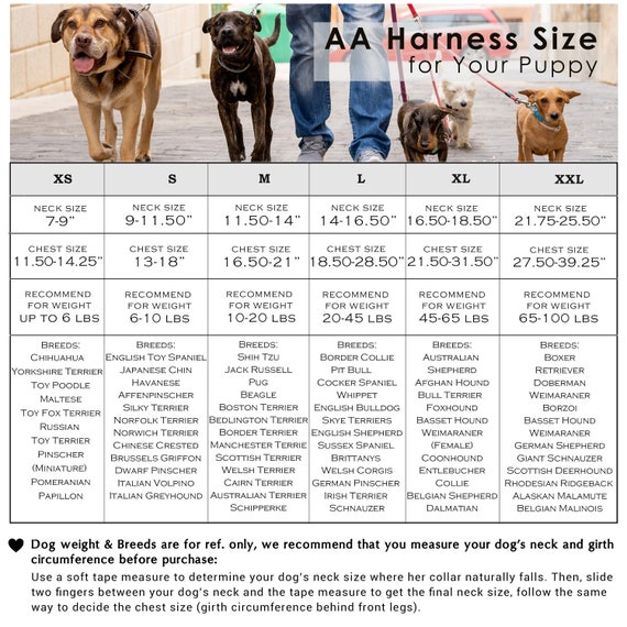 Can You Leave A Harness On A Puppy