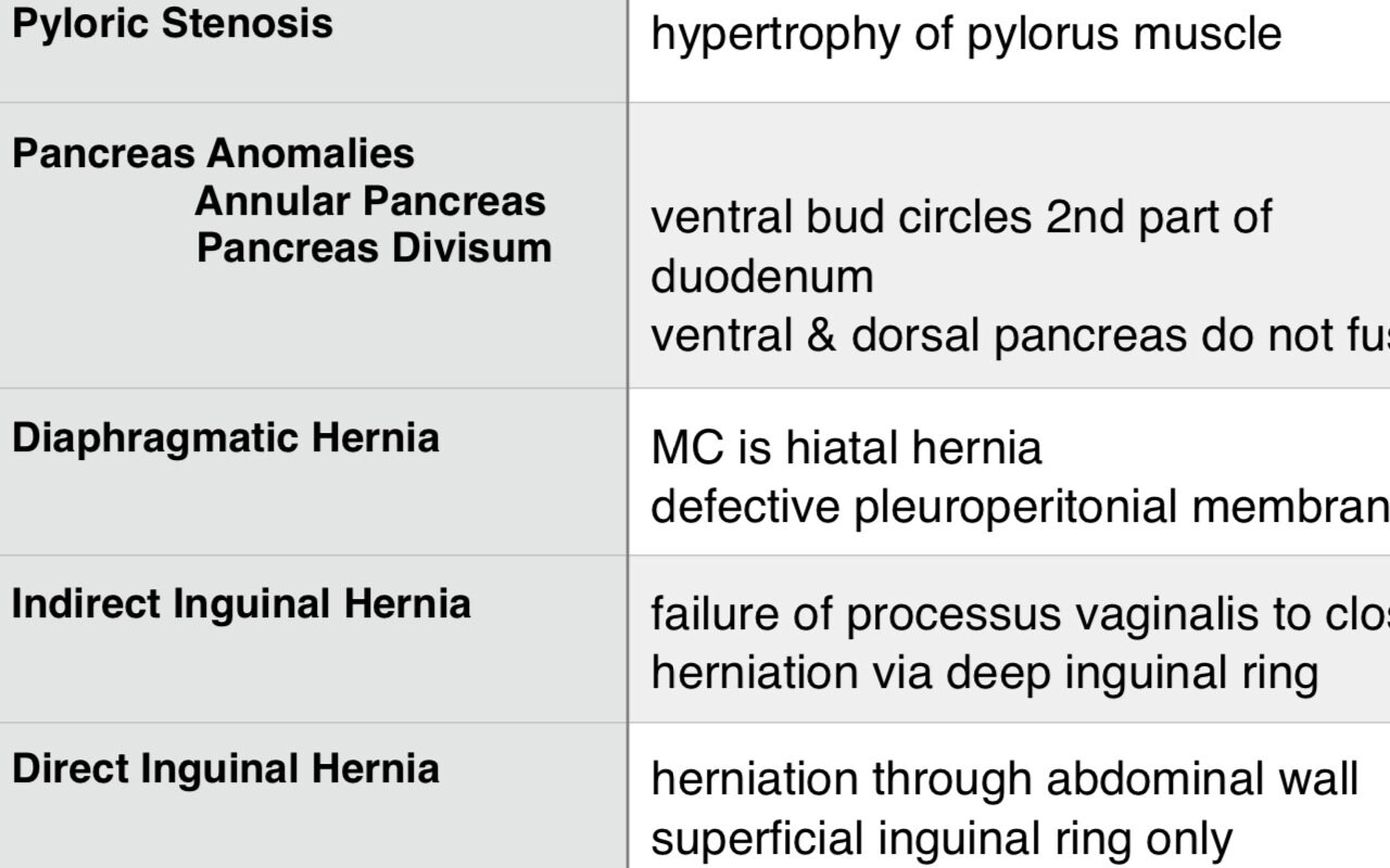 Gastrointestinal GI Pathology Study Guides - Medical School - Etsy