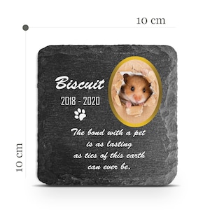 Customizable Pet Memorial Plate Plaque V15 For Cat Dog Horse Tombstone Grave Marker Custom Printed Personalized Stone Name Photo Date Memory