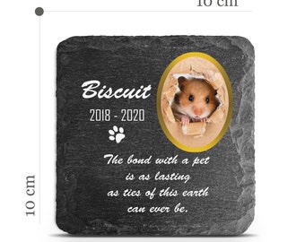 Customizable Pet Memorial Plate Plaque V15 For Cat Dog Horse Tombstone Grave Marker Custom Printed Personalized Stone Name Photo Date Memory
