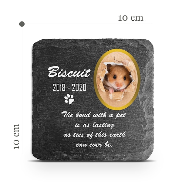 Customizable Pet Memorial Plate Plaque V15 For Cat Dog Horse Tombstone Grave Marker Custom Printed Personalized Stone Name Photo Date Memory