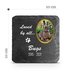 Placa memorial para animais de estimação personalizável v18, para gato, cachorro, coelho, lápide, marcador personalizado, pedra personalizada, nome, foto, data, memória