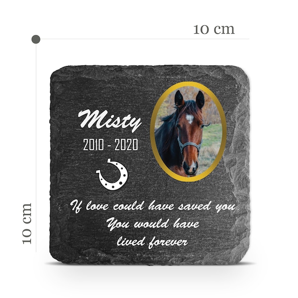 Customizable Pet Memorial Plate Plaque V11 For Cat Dog Horse Tombstone Grave Marker Custom Printed Personalized Stone Name Photo Date Memory