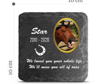 Customizable Pet Memorial Plate Plaque V9 For Cat Dog Horse Tombstone Grave Marker Custom Printed Personalized Stone Name Photo Date Memory