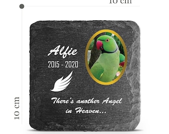 Customizable Pet Memorial Plate Plaque V12 For Cat Dog Horse Tombstone Grave Marker Custom Printed Personalized Stone Name Photo Date Memory