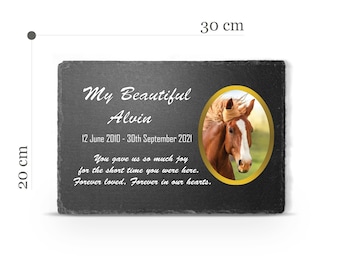Customizable XXL ANY Pet Memorial Plate Plaque Cat Dog Horse Tombstone Grave Marker Custom Printed Personalized Stone Name Photo Memory V1
