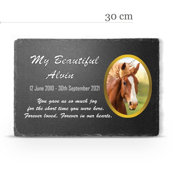 Customizable XXL ANY Pet Memorial Plate Plaque Cat Dog Horse Tombstone Grave Marker Custom Printed Personalized Stone Name Photo Memory V1