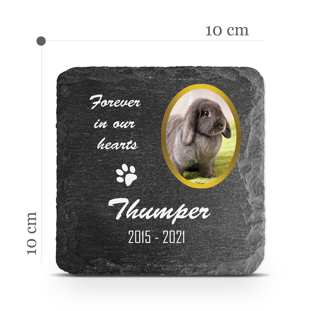 Personalisierte Solar-Gedenkleuchte Für Haustiere - Foto & Name - Für Garten, Grab & Terrasse