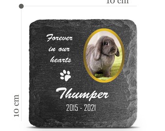 Customizable Pet Memorial Plate Plaque V19 For Cat Dog Bunny Tombstone Grave Marker Custom Printed Personalized Stone Name Photo Date Memory