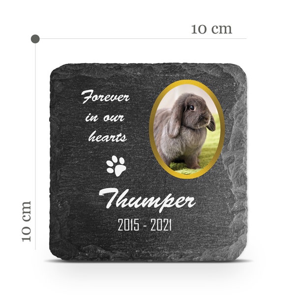 Customizable Pet Memorial Plate Plaque V19 For Cat Dog Bunny Tombstone Grave Marker Custom Printed Personalized Stone Name Photo Date Memory