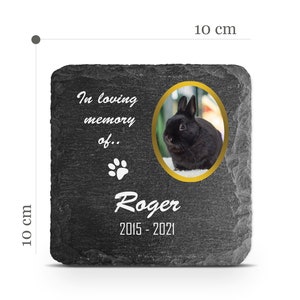 Placa memorial para animais de estimação personalizável v20, para gato, cachorro, coelho, lápide, marcador, personalizado, impresso, pedra, nome, foto, data, memória