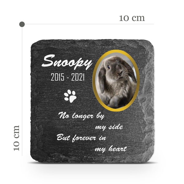 Customizable Pet Memorial Plate Plaque V21 For Cat Dog Bunny Tombstone Grave Marker Custom Printed Personalized Stone Name Photo Date Memory