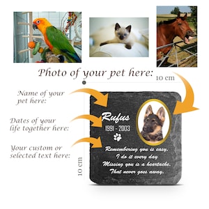 Customizable ANY Pet Memorial Plate Plaque For Cat Dog Horse Tombstone Grave Marker Custom Printed Personalized Stone Name Photo Date Memory