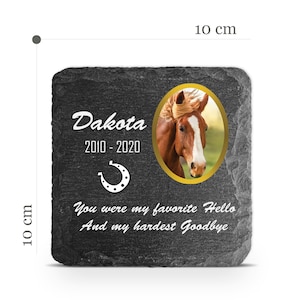 Customizable Pet Memorial Plate Plaque V10 For Cat Dog Horse Tombstone Grave Marker Custom Printed Personalized Stone Name Photo Date Memory