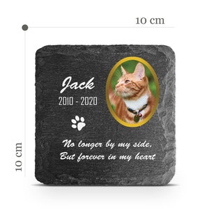 Customizable Pet Memorial Plate Plaque V8 For Cat Dog Horse Tombstone Grave Marker Custom Printed Personalized Stone Name Photo Date Memory