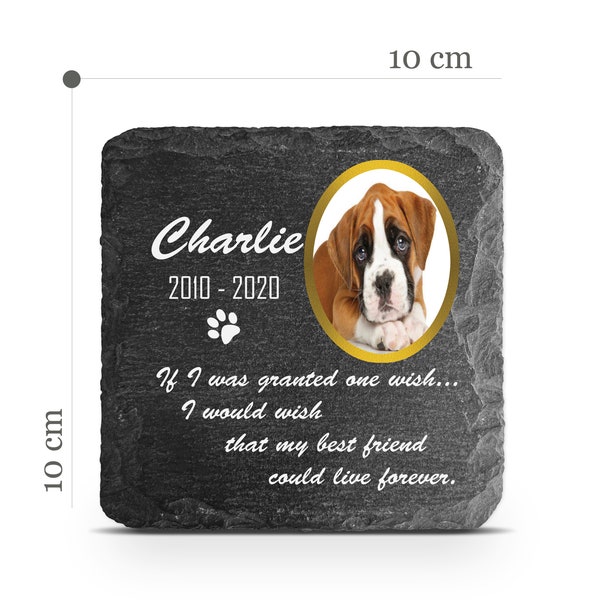 Customizable Pet Memorial Plate Plaque V2 For Cat Dog Horse Tombstone Grave Marker Custom Printed Personalized Stone Name Photo Date Memory