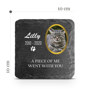 Customizable Pet Memorial Plate Plaque V5 For Cat Dog Horse Tombstone Grave Marker Custom Printed Personalized Stone Name Photo Date Memory