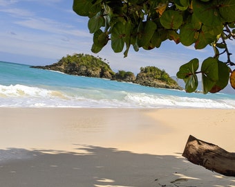 St John USVI Trunk Bay Photography